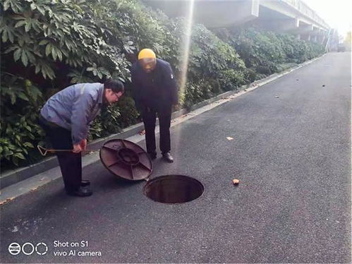 江蘇海安鳳山村 以系統(tǒng)思維全面推進(jìn)水污染治理，守護(hù)碧水清流