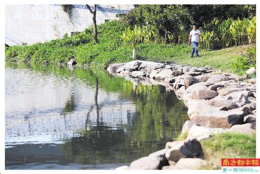 寶安治水攻堅(jiān)顯成效 61條河流實(shí)現(xiàn)“零干河、零黑臭”，年末沖刺迎關(guān)鍵驗(yàn)收