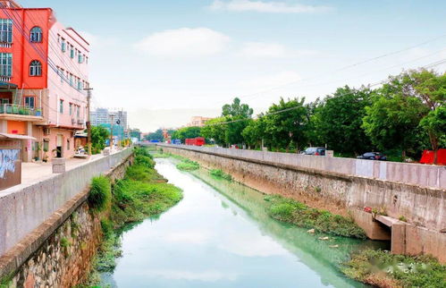 喻麗君率隊(duì)深入調(diào)研常平水污染治理，推動(dòng)水環(huán)境質(zhì)量持續(xù)改善