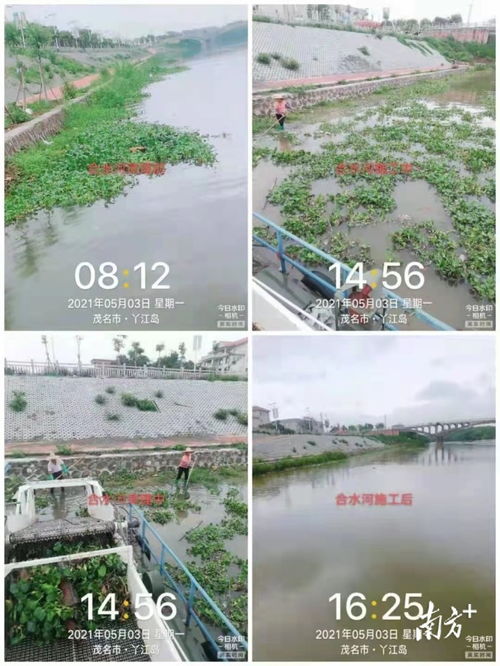 茂南水務(wù)局多措并舉，筑牢水污染防治監(jiān)管防線