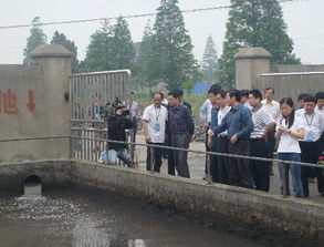 強(qiáng)化監(jiān)管，系統(tǒng)治理 區(qū)人大五項(xiàng)建議助推水污染防治工作邁向新臺(tái)階