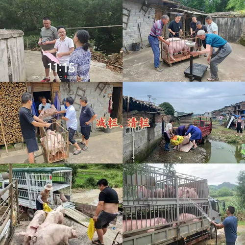 寧化多措并舉打好汛期水污染防治攻堅(jiān)戰(zhàn)