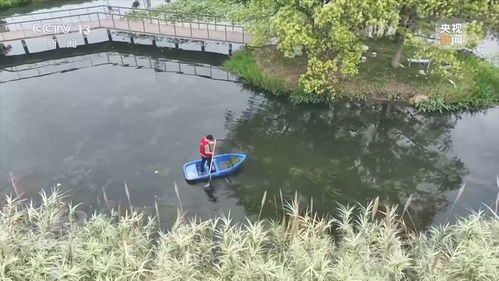 新朋友落戶“浙”里 水污染治理背后的綠色轉型故事