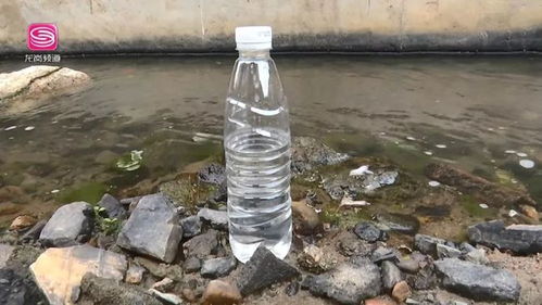 魚游蟹藏 吉華水污染治理成效顯著，黑臭水體已成歷史