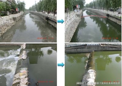 守護生命之源 世界地球日聚焦水污染治理