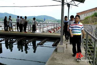 新田縣人大常委會開展《水污染防治法》執法檢查，推動水污染治理工作走深走實