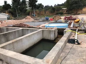 漁溪鎮 精準發力，不斷補齊治水短板，全面提升水污染防治能力